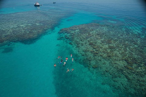 Ocean Freedom Great Barrier Reef Personal Luxury Snorkel & Dive Cruise, Cairns - Hobart Tourism 3