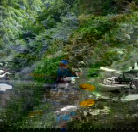 Byron Bay Rainforest Fishing - Hobart Tourism