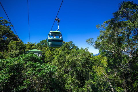 Classic Kuranda By Skyrail And Scenic Railway Including Rainforestation, Koala And Wildlife Park And Pamagirri Aboriginal Experi - Tourism TAS 0