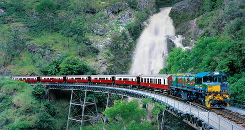 Classic Kuranda By Skyrail And Scenic Railway Including Rainforestation, Koala And Wildlife Park And Pamagirri Aboriginal Experi - Tourism TAS 1