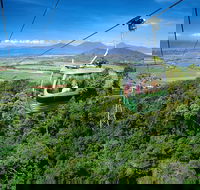 Best of Kuranda Including Skyrail Kuranda Scenic Railway and Rainforestation - Hobart Tourism
