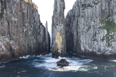 Tasman Island Cruises And Port Arthur Historic Site Day Tour From Hobart - Tourism TAS 2
