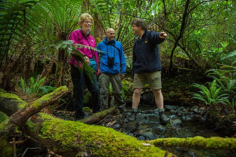 Bruny Island Traveller - Gourmet Tasting And Sightseeing Day Trip From Hobart - Hobart Tourism 1