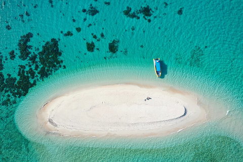 Ocean Safari Great Barrier Reef Experience In Cape Tribulation - Tourism TAS 3