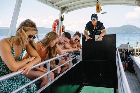 Fitzroy Island Day Trip From Cairns - Hobart Tourism 4