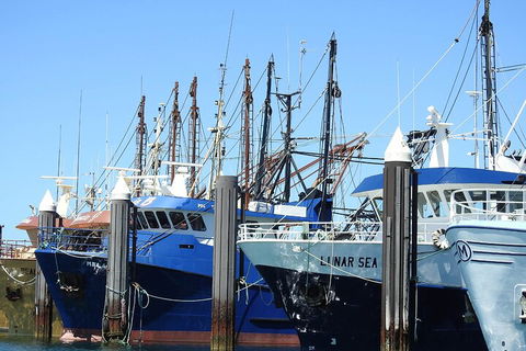 One Day Port Lincoln Tour - Tasting Eyre - Tourism TAS 0
