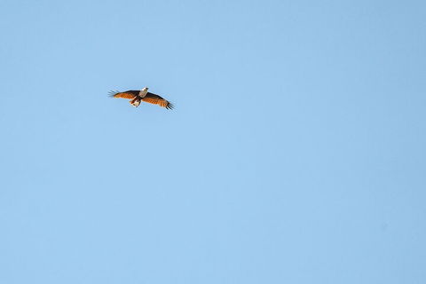 North Stradbroke Island Day Trip From Brisbane - Tourism TAS 4