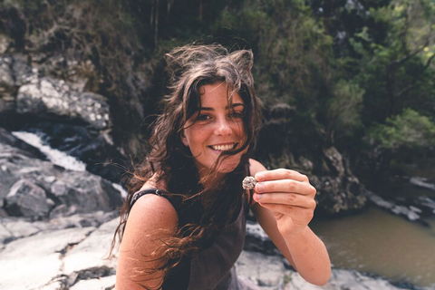 Springbrook AndTamborine Rainforest Tour Incl Natural Bridge And Glow Worm Cave - Tourism TAS 1