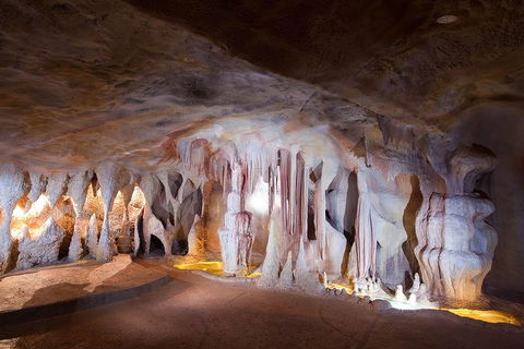 Springbrook AndTamborine Rainforest Tour Incl Natural Bridge And Glow Worm Cave - Tourism TAS 4