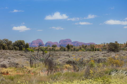 Overnight Uluru (Ayers Rock) Small-Group Camping Tour - Tourism TAS 0