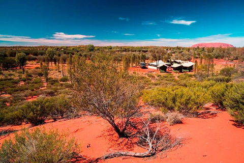 Overnight Uluru (Ayers Rock) Small-Group Camping Tour - Tourism TAS 2