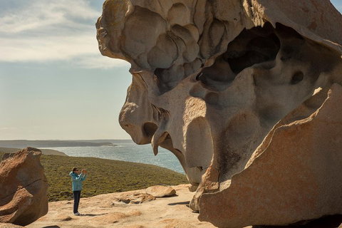 Kangaroo Island In A Day Tour From Adelaide - Tourism TAS 5