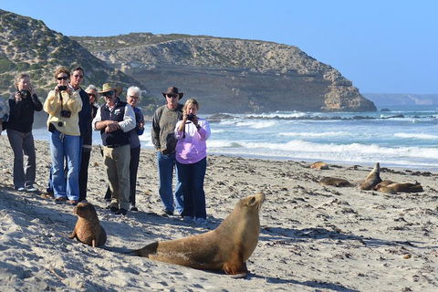 2-Day Kangaroo Island 4WD Small-Group Tour From Adelaide - Hobart Tourism 3