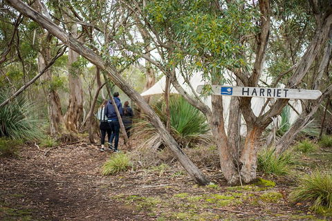 2-Day Kangaroo Island 4WD Small-Group Tour From Adelaide - Hobart Tourism 5