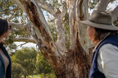 NEW TOUR - Kangaroo Island Road To Recovery Tour (1 Day/1 Night) - Hobart Tourism 0