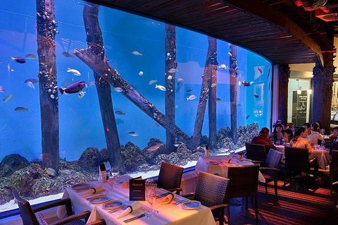 Cairns Aquarium And Small Group City Sightseeing Tour - Tourism TAS 4