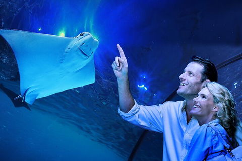 Cairns Aquarium Tour By Twilight With Drink And Appetiser - Tourism TAS 4