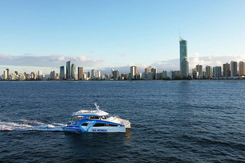 Whale Watching By Sea World Cruises - Hobart Tourism 1