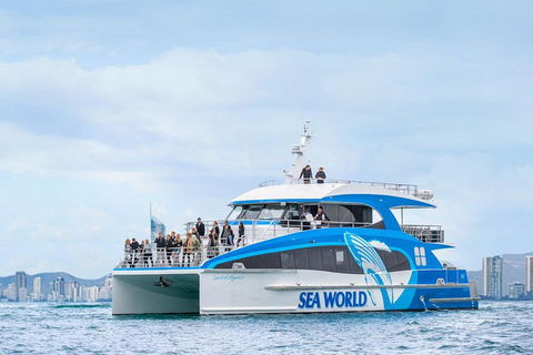 Whale Watching By Sea World Cruises - Hobart Tourism 3