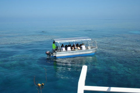 Seastar Luxury Outer Great Barrier Reef Island And Reef Tour From Cairns - Tourism TAS 5