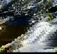 Cradle Mountain Day Tour from Launceston Including Lunch - Hobart Tourism