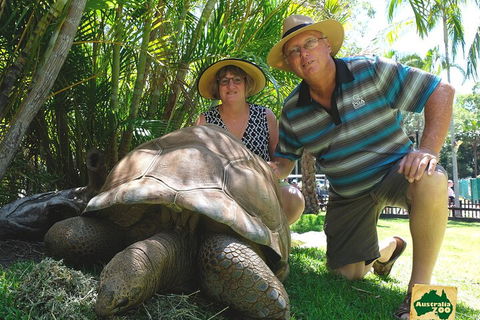 Small-Group Australia Zoo Day Trip From Brisbane - Hobart Tourism 1