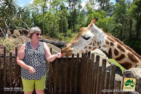 Small-Group Australia Zoo Day Trip From Brisbane - Hobart Tourism 2