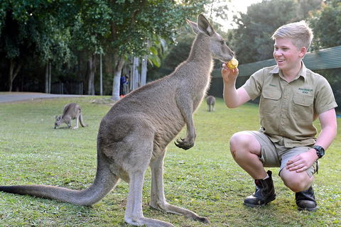 Small-Group Australia Zoo Day Trip From Brisbane - Hobart Tourism 4