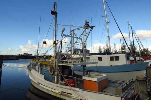 Beyond Byron Hinterland Tour - Hobart Tourism 0