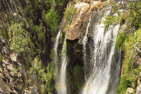 Beyond Byron Hinterland Tour - Hobart Tourism 5