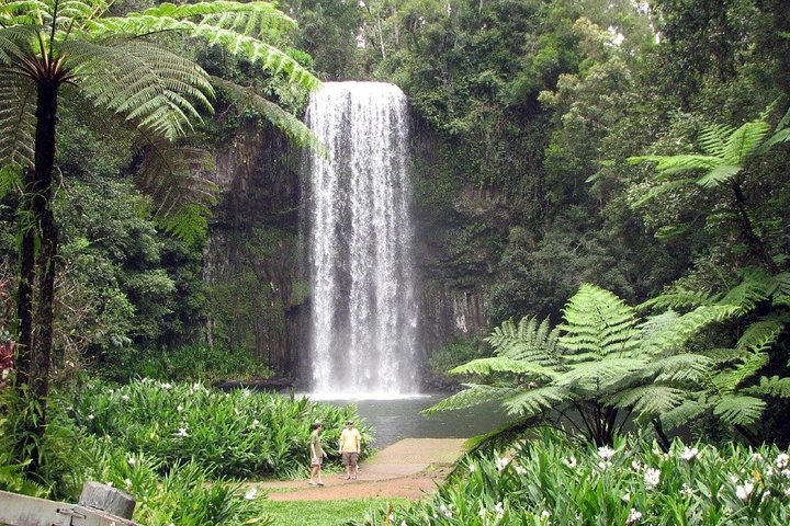 Port Douglas QLD Tourism TAS