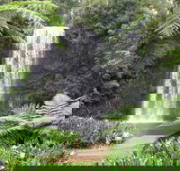 Private Daintree and Cape Tribulation Tour from Port Douglas - Tourism TAS
