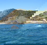 Kayaking with Dolphins in Byron Bay Guided Tour - Tourism TAS