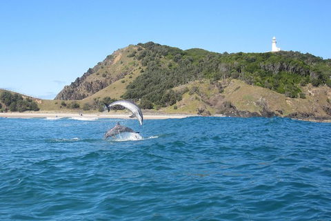 Kayaking With Dolphins In Byron Bay Guided Tour - Hobart Tourism 0