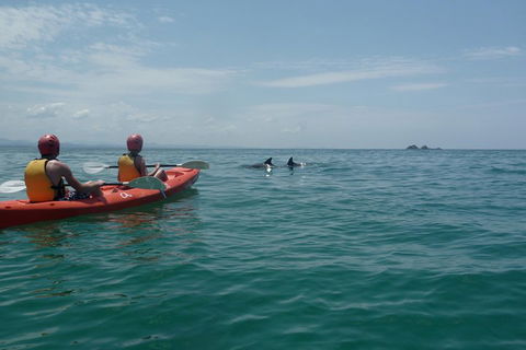 Kayaking With Dolphins In Byron Bay Guided Tour - Hobart Tourism 4