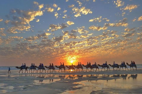 Broome City Sightseeing Tour With Optional Camel Ride - Hobart Tourism 1