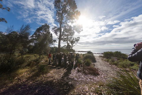 Bruny Island Day Tour, Includes Lunch And Exclusive Lighthouse Tour - Hobart Tourism 5