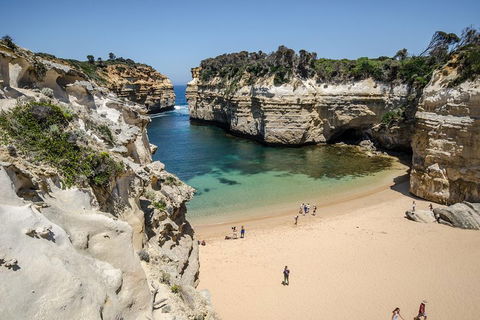 Great Ocean Road Reverse Itinerary With 12 Apostles From Melbourne - Hobart Tourism 5
