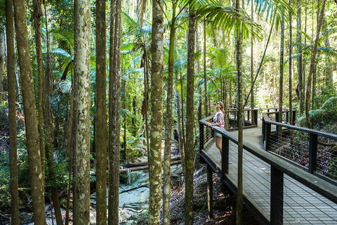 All-Inclusive Fraser Island Day Tour - Hobart Tourism 5