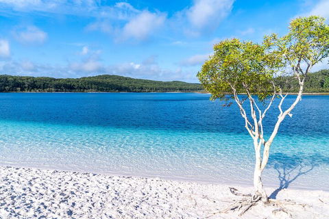 Lake McKenzie Full-Day Tour With Lunch From Hervey Bay - Hobart Tourism 1