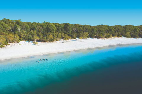 Lake McKenzie Full-Day Tour With Lunch From Hervey Bay - Hobart Tourism 4