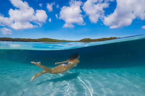 Lake McKenzie Full-Day Tour With Lunch From Hervey Bay - Hobart Tourism 5