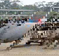 Off-Road Safari at Werribee Open Range Zoo - Hobart Tourism