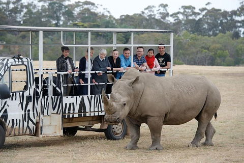Off-Road Safari At Werribee Open Range Zoo - Hobart Tourism 0