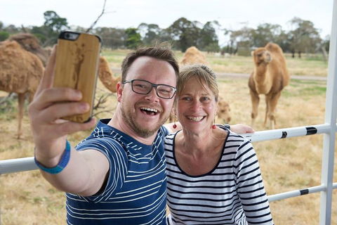 Off-Road Safari At Werribee Open Range Zoo - Hobart Tourism 1