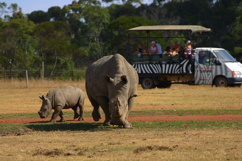 Off-Road Safari At Werribee Open Range Zoo - Hobart Tourism 5