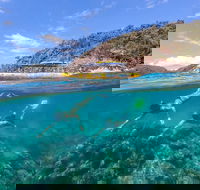 Great Barrier Reef Scenic Flight and Ocean Rafting Whitehaven Beach Day Trip - Tourism TAS