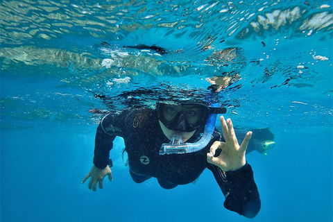 3 Day Whitsundays Sailing And Diving Adventure: Kiana - Hobart Tourism 0