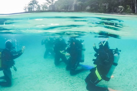 3 Day Whitsundays Sailing And Diving Adventure: Kiana - Hobart Tourism 4