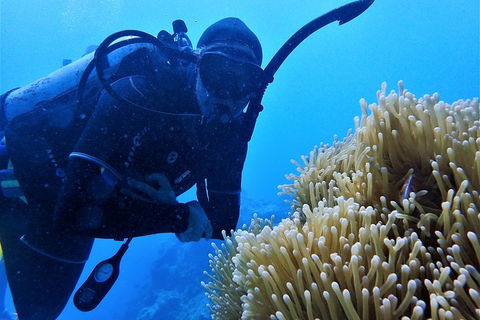 3 Day Whitsundays Sailing And Diving Adventure: Kiana - Hobart Tourism 5